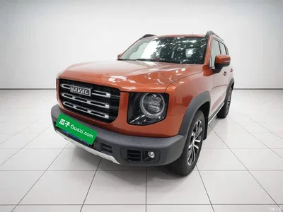 2021 Haval Big Dog 2.0T DCT 2WD Chinese Hound Edition, фото 1, лот 11002441