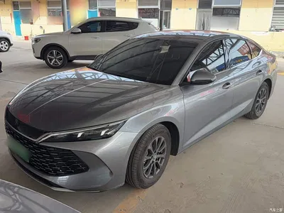 2024 BYD Qin L DM-i 80KM Leading Edition, фото 1, лот 10265924