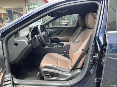 2022 Lexus ES 200 Excellence Edition, фото 4, лот 10441696