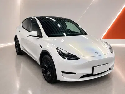 2024 Tesla Model Y Long Range AWD, фото 3, лот 11017204
