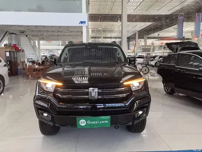 2024 Tank 400 New Energy Hi4-T Off-Road Edition, фото 3, лот 10345219