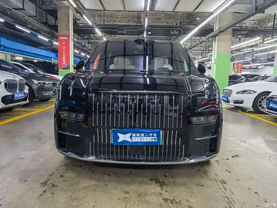 2024 ZEEKR 009 7-Seat Aisle Version 108kWh, фото 2, лот 10291431