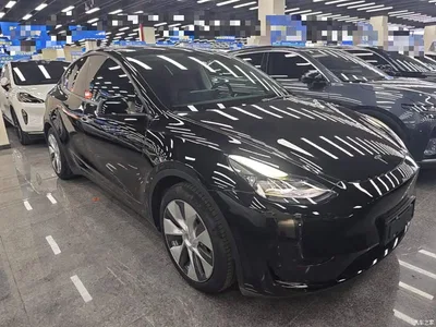 2022 Tesla Model Y Rear-Wheel Drive Version, фото 4, лот 10370216