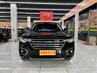 2019 Haval H7 2.0T YueXiang (China VI), фото 2, лот 11007841