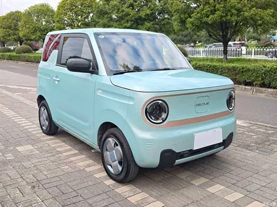 2023 Geely Galaxy Panda mini 120km Cute Bear, фото 3, лот 10431410