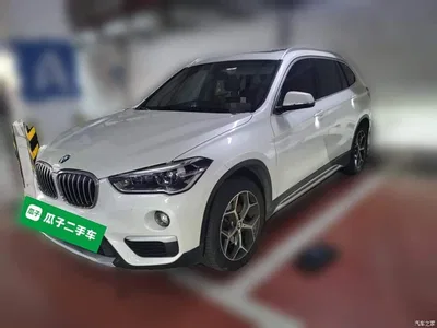 2019 BMW X1 sDrive18Li Premium Model, фото 1, лот 11570521
