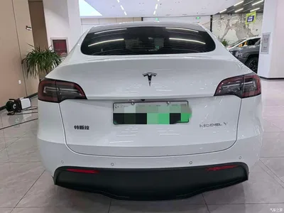 2021 Tesla Model Y Standard Range Rear-Wheel Drive, фото 4, лот 10442872