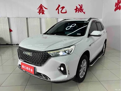 2021 Haval M6 PLUS 1.5T DCT Luxury Smart Connect, фото 1, лот 11062328