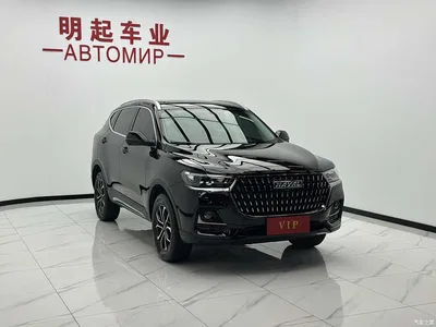 2023 Haval H6 National Trend Edition 1.5T Automatic Urban, фото 3, лот 10297654