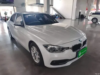 2016 BMW 3 Series 316i Fashion, фото 4, лот 10592926