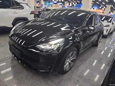 2022 Tesla Model Y Rear-Wheel Drive Version, фото 1, лот 10370216