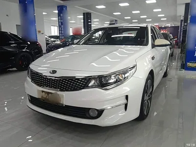 2016 Kia K5 2.0L Automatic LUX, фото 1, лот 10390319