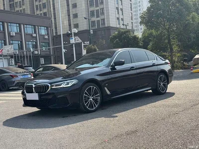 2023 BMW 5 Series 530Li Leading M Sport Package, фото 1, лот 10444741
