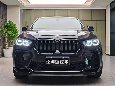 2020 BMW X6 M, фото 2, лот 10477123