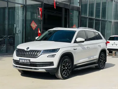 2021 Škoda Kodiaq TSI330 5-seat 2WD Luxury Premium, фото 1, лот 10349234
