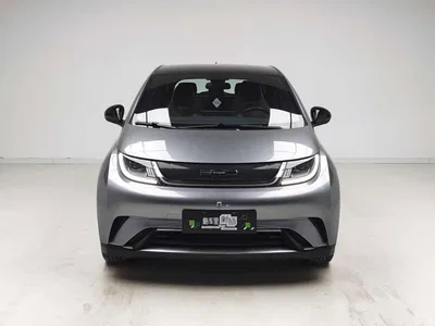 2023 Byd Dolphin, фото 2, лот 10243927
