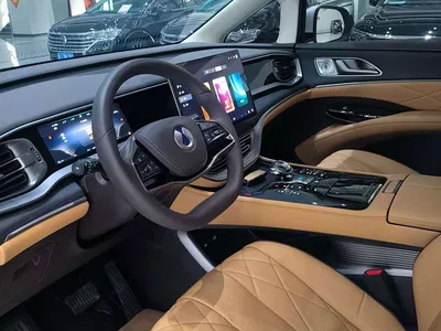 2024 Denza D9 DM-i 980 AWD Prestige, фото 4, лот 10598785
