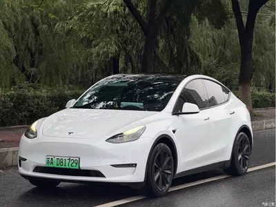 2021 Tesla Model Y Standard Range Rear-Wheel Drive, фото 1, лот 11214846