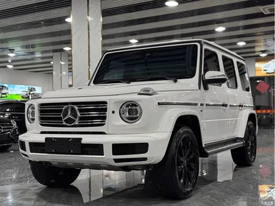 2023 Mercedes-Benz G-Class, фото 1, лот 10305940