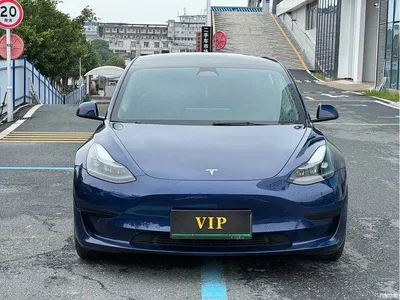 2022 Tesla Model 3 Model Rear-Wheel Drive Version, фото 2, лот 10366361