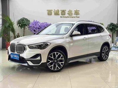 2020 BMW X1 xDrive25Li Premium Edition, фото 1, лот 10447263
