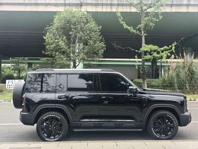 2023 Haval Meng Long NEV Model Hi4 145 Explorer Edition, фото 3, лот 10282807