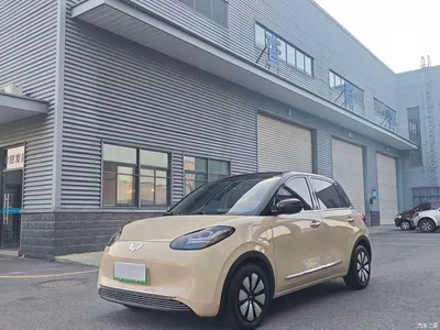 2025 Wuling Motors Wuling Bingo Model 333km Joy Edition, фото 1, лот 10367143