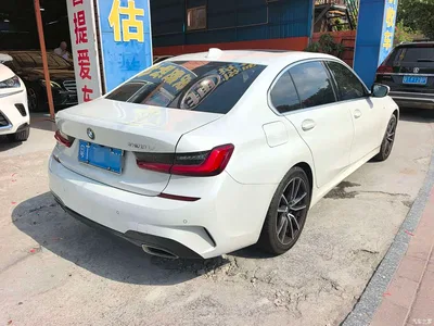 2021 BMW 3 Series 320Li M Sport Package, фото 4, лот 11191643