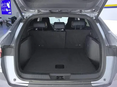 2021 BYD Song PLUS PHEV DM-i 110KM Flagship PLUS, фото 4, лот 10274734