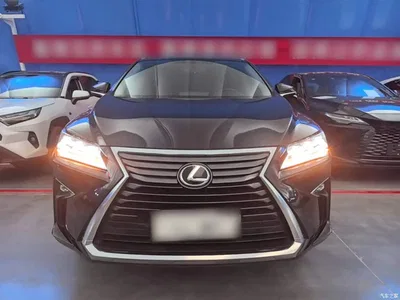 2016 Lexus RX 300 4WD Elegance Edition (China V), фото 3, лот 10804251