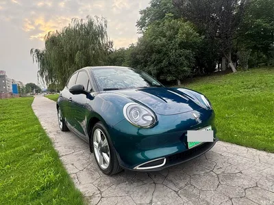 2021 Ora Good Cat 400km Standard Range Athena Edition (LFP), фото 3, лот 10330639