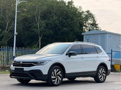 2024 Volkswagen Tiguan L Outstanding 300TSI Auto 2WD Dragon Soaring Edition, фото 1, лот 10461782
