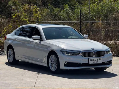 2020 BMW 5 Series 530Li Leading Luxury Package, фото 3, лот 11585154