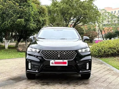 2021 WEY VV7 Model 2.0T Technology Edition, фото 2, лот 10452173