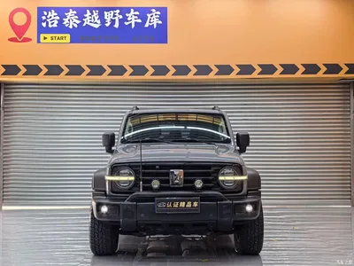 2021 Tank 300 Off-road Version 2.0T Conqueror, фото 2, лот 11194881
