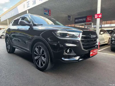 2023 Haval H6 National Trend Edition 1.5T Automatic Champion, фото 3, лот 10299224