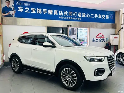 2020 Haval H6 1.5GDIT Automatic Platinum Luxury Edition, фото 3, лот 10295833