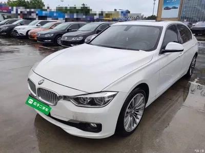 2019 BMW 3 Series 320Li xDrive Fashion Type, фото 1, лот 11191623