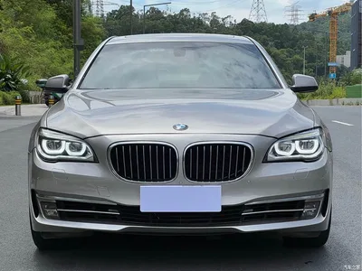 2009 BMW 7 Series 740Li Premium, фото 2, лот 10459407