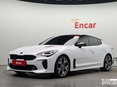 2019 Kia Stinger 2.0 Turbo 2WD, фото 1, лот 10512578