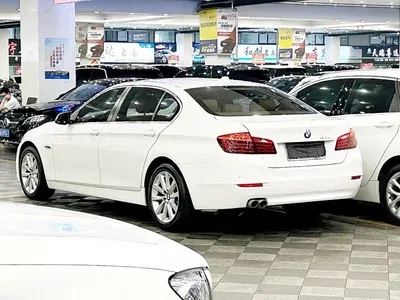 2014 BMW 5 Series 530Li Leading, фото 3, лот 10445042