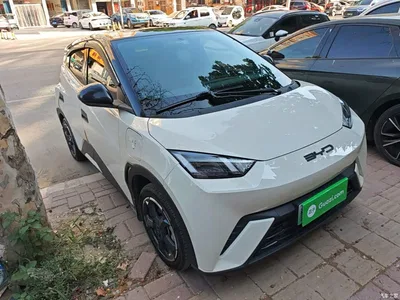 2023 BYD Seagull Flying Edition, фото 4, лот 10258674