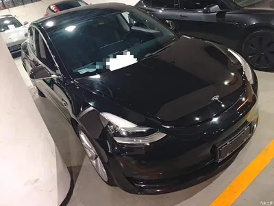 2020 Tesla Model 3 Standard Range Rear-Wheel Drive Upgrade, фото 4, лот 10463964