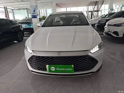 2023 BYD Qin PLUS Champion Edition DM-i 120KM Leading Type, фото 3, лот 11203372