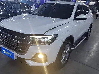 2021 Haval H6 Model National Trend Edition 1.5T Auto Champion, фото 1, лот 10612965