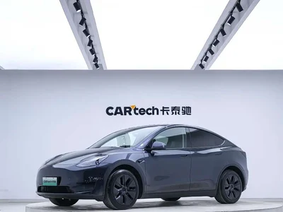 2024 Tesla Model Y Rear-Wheel Drive Version, фото 1, лот 11582753
