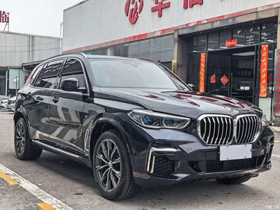 2022 BMW X5 Facelift xDrive 30Li Premium M Sport Package, фото 3, лот 10463069