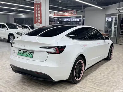 2025 Tesla Model 3 Model Rear-Wheel Drive Edition, фото 4, лот 10671557