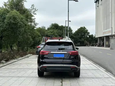 2019 Hongqi HS5 2.0T Smart Connect Enjoy 4WD Edition, фото 4, лот 10287913