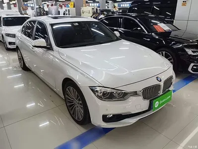 2018 BMW 3 Series 320Li Fashion Style, фото 4, лот 10575933